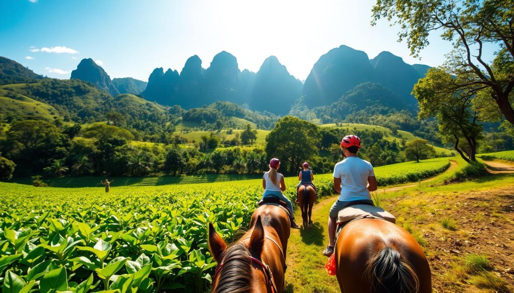 ViƱales horse riding excursions ViƱales horse riding excursions