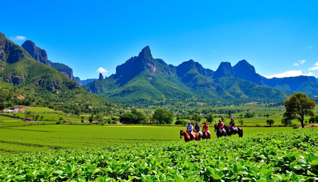 ViƱales horseback riding excursions pre-booking ViƱales horseback riding excursions pre-booking
