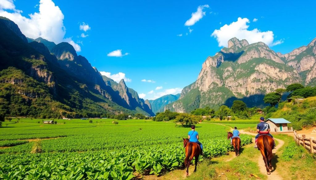 ViƱales horseback riding tours ViƱales horseback riding tours