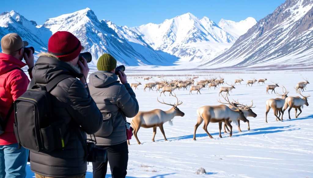 wildlife enthusiasts wildlife enthusiasts