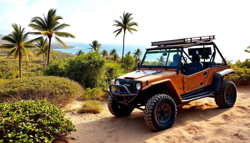 La Romana buggy rentals La Romana buggy rentals