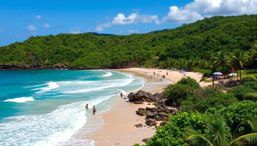 peak visiting months Bathsheba peak visiting months Bathsheba