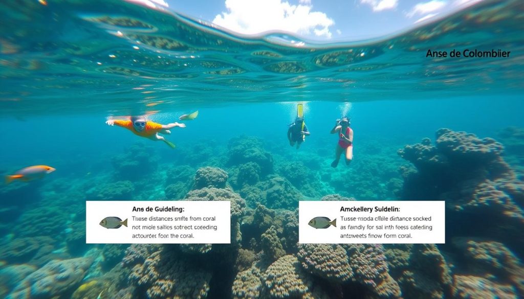 Anse de Colombier snorkeling regulations Anse de Colombier snorkeling regulations