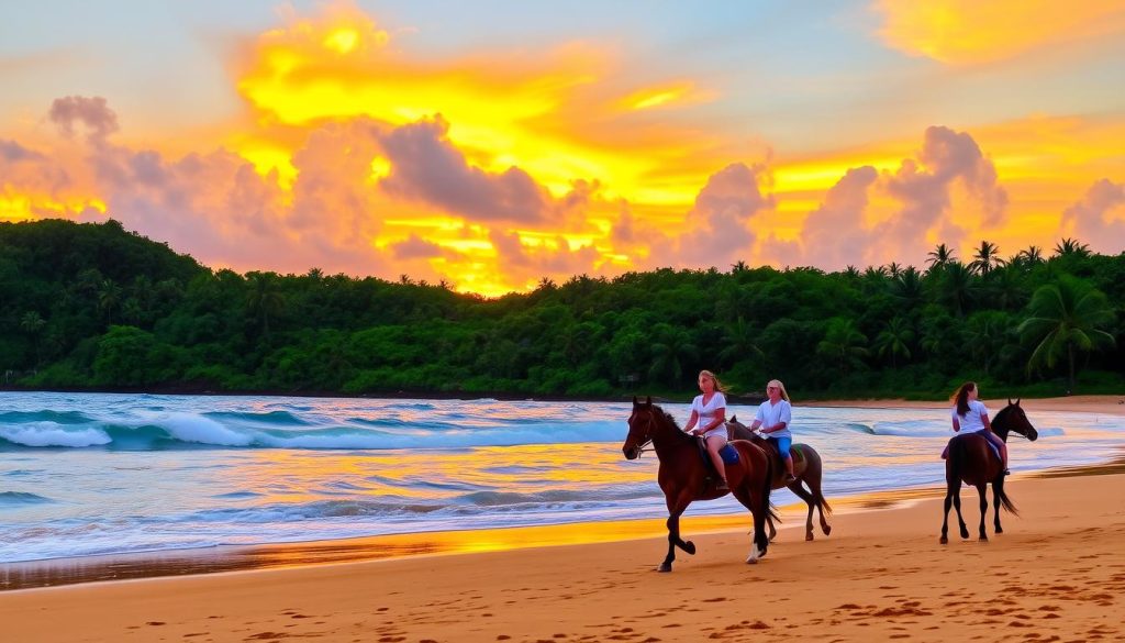 Gros Islet horseback riding Gros Islet horseback riding