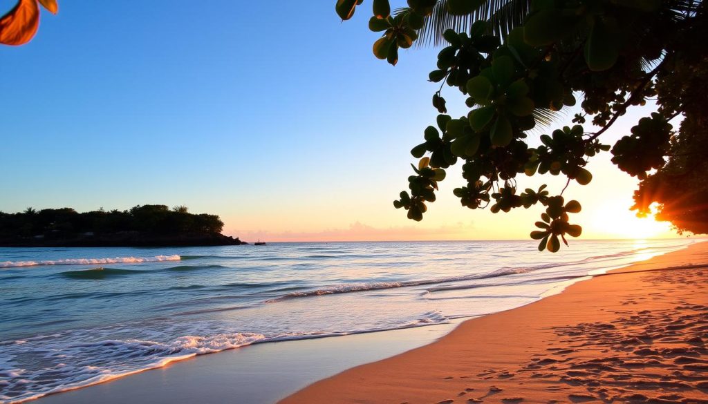 best time to visit Anse de Colombier best time to visit Anse de Colombier