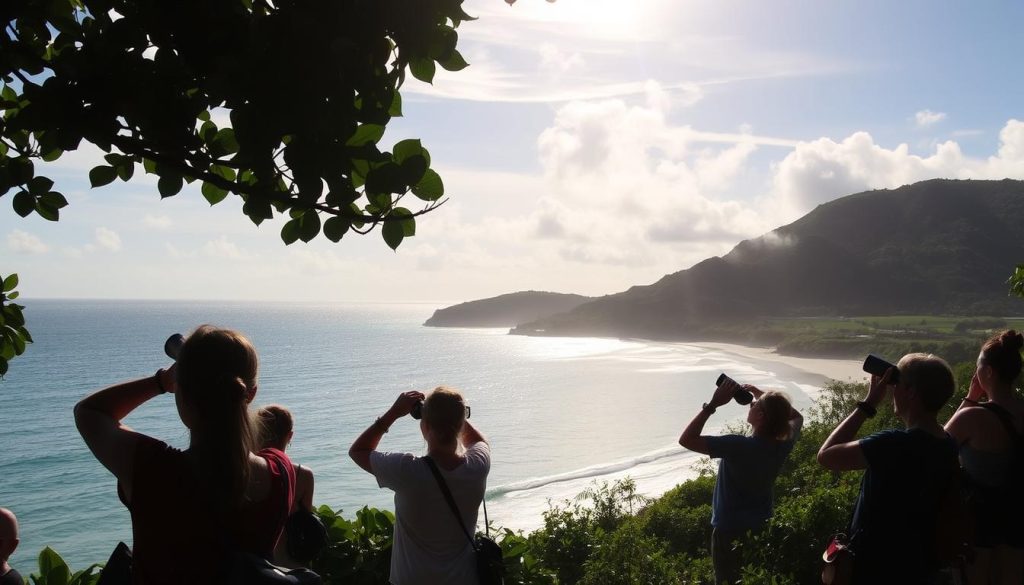 birdwatching tours Levera Beach Grenada birdwatching tours Levera Beach Grenada