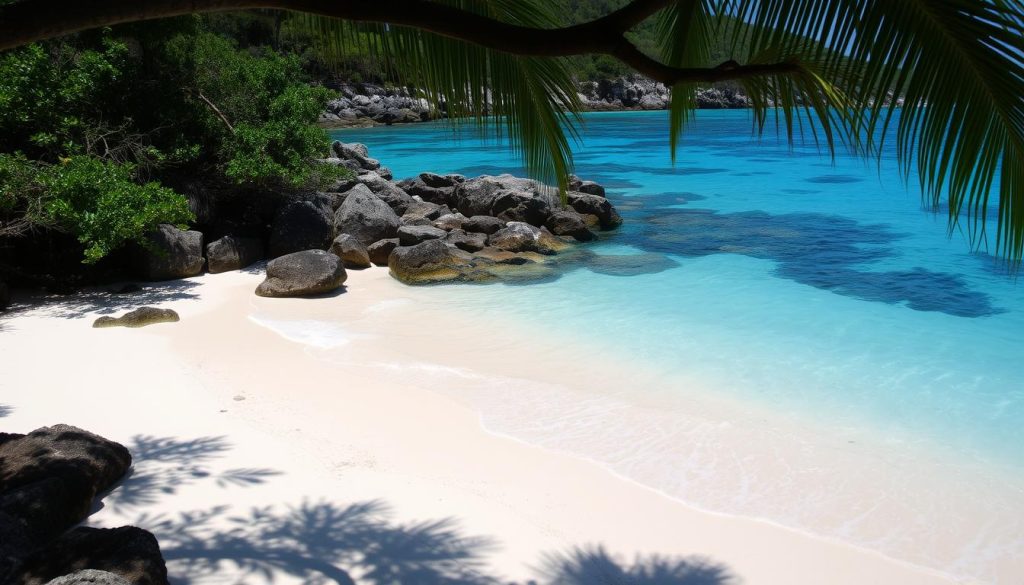 hidden gems near Grand Anse Beach hidden gems near Grand Anse Beach