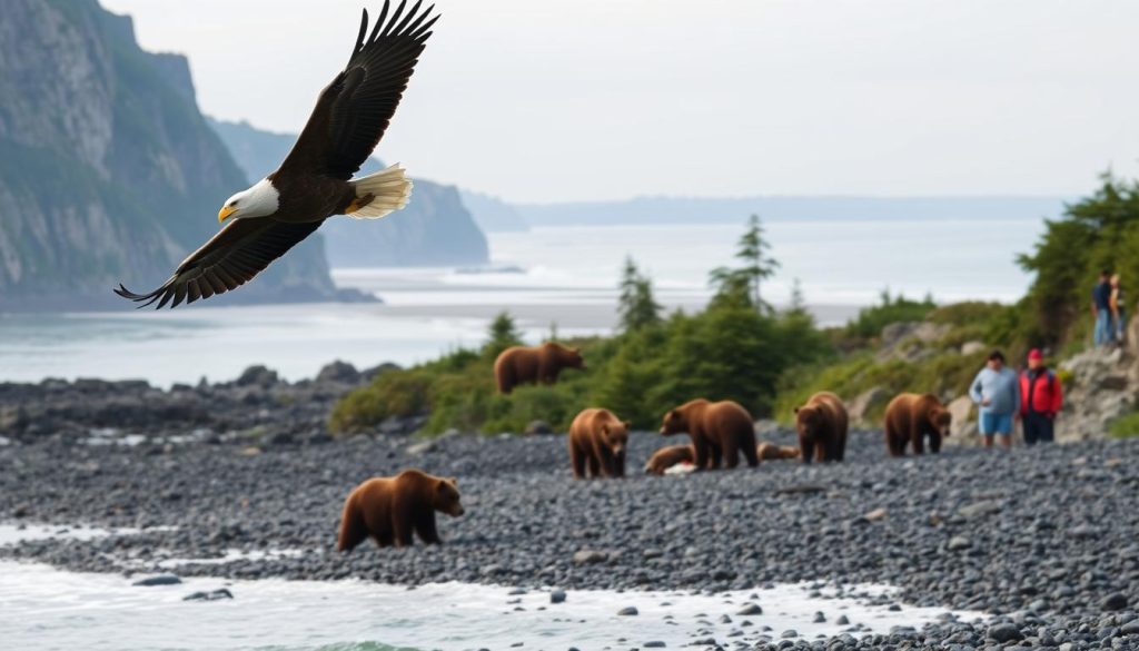 Eagle Beach wildlife safety Eagle Beach wildlife safety