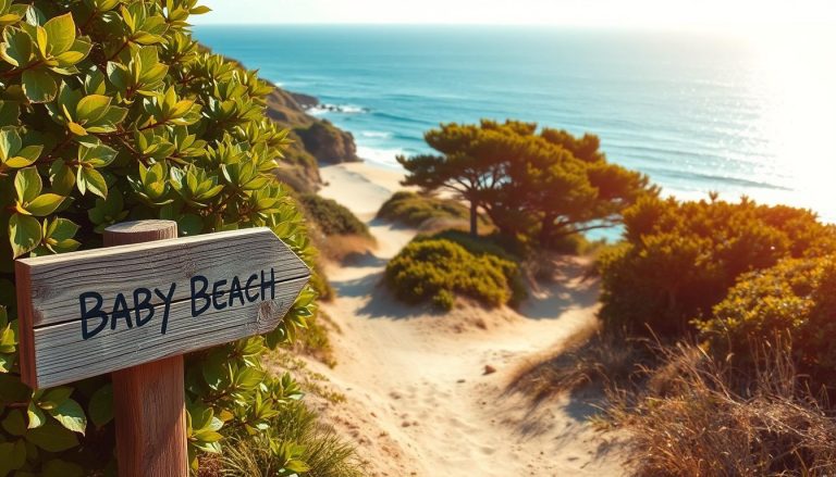 How do I get to Baby Beach?