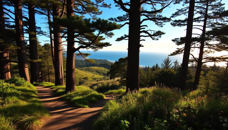 What are the best hiking trails in Half Moon Bay?