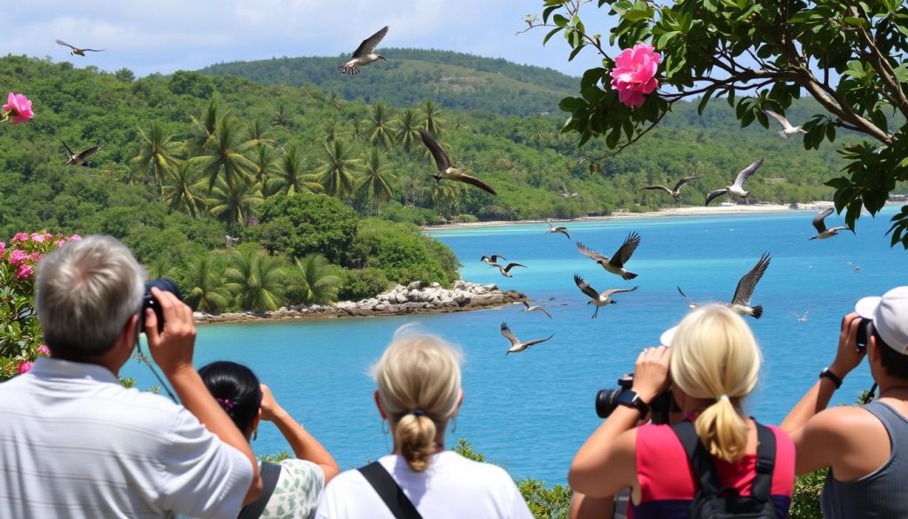 bird watching tours Peter Island bird watching tours Peter Island