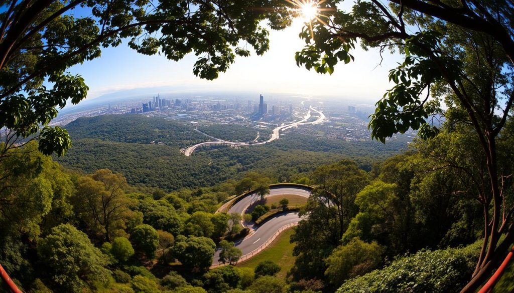 Mt Coot-tha scenic views Mt Coot-tha scenic views