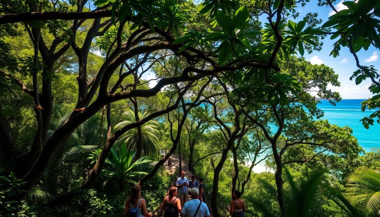 What are the best eco-friendly tours and activities in Cairns?
