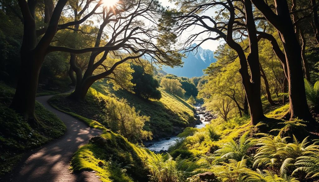 Zealandia Eco-Sanctuary Zealandia Eco-Sanctuary