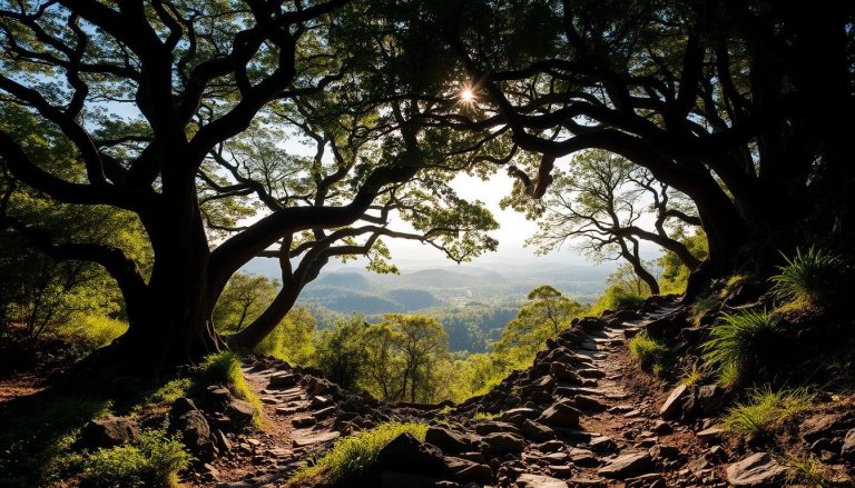 off-the-beaten-path hikes in Durban