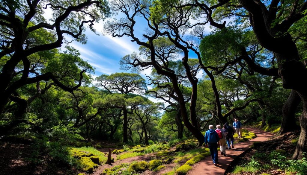Eldoret hiking routes Eldoret hiking routes