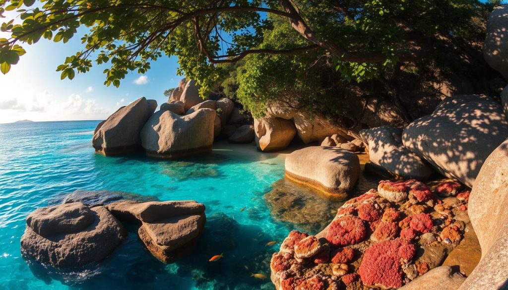 La Digue's best off-the-beaten-path diving spots La Digue's best off-the-beaten-path diving spots